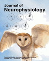 cover picture - j of neurphysiology